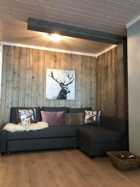 Kvamseter Lodge - Mountain Apartments Norheimsund Luaran gambar