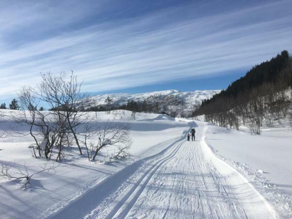 Kvamseter Lodge - Mountain Apartments Norheimsund Luaran gambar